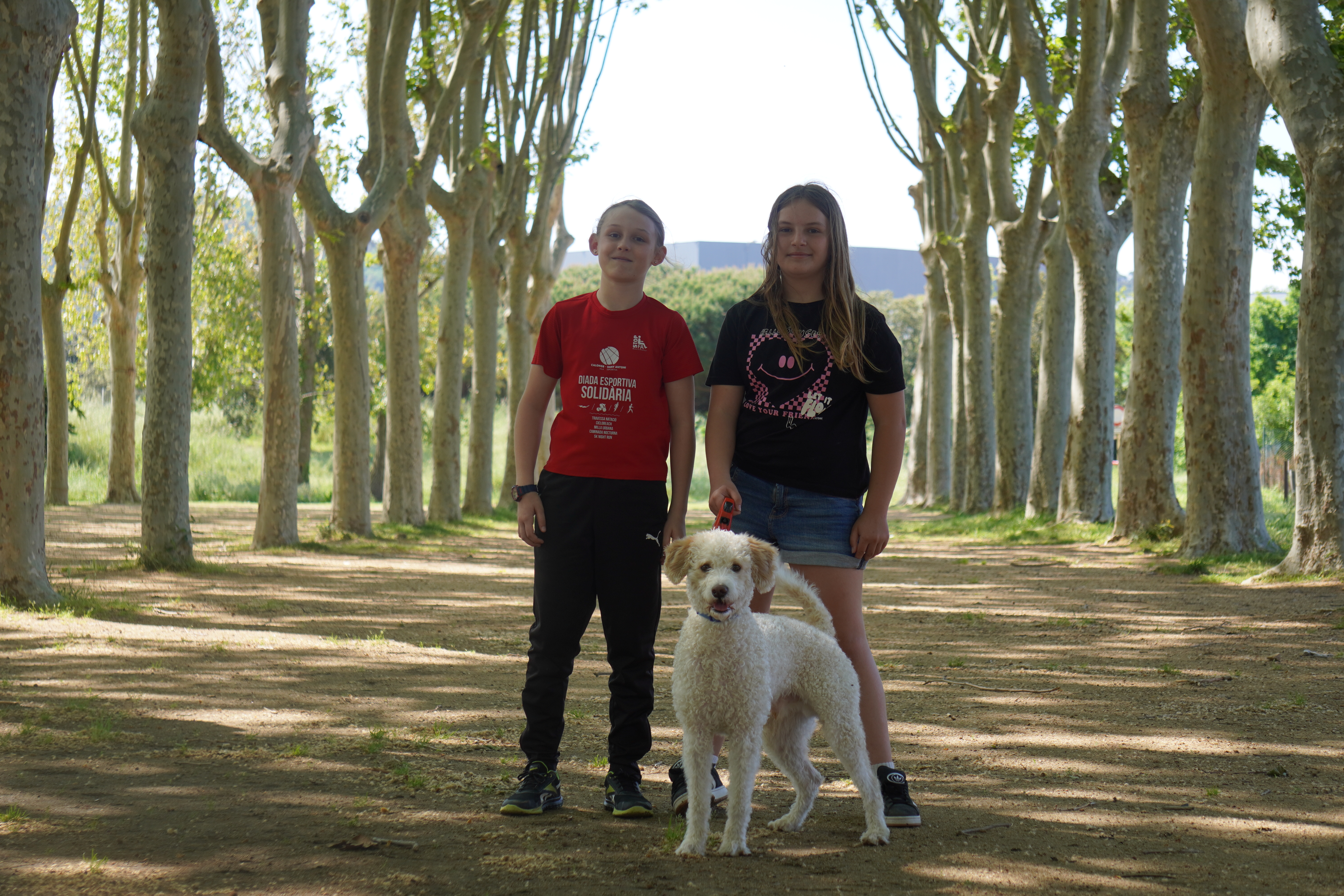 S'estrena els curts 