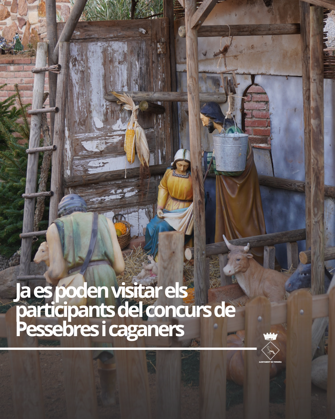 Visita els pessebres i els caganers que participen en el concurs tradicional de Nadal!