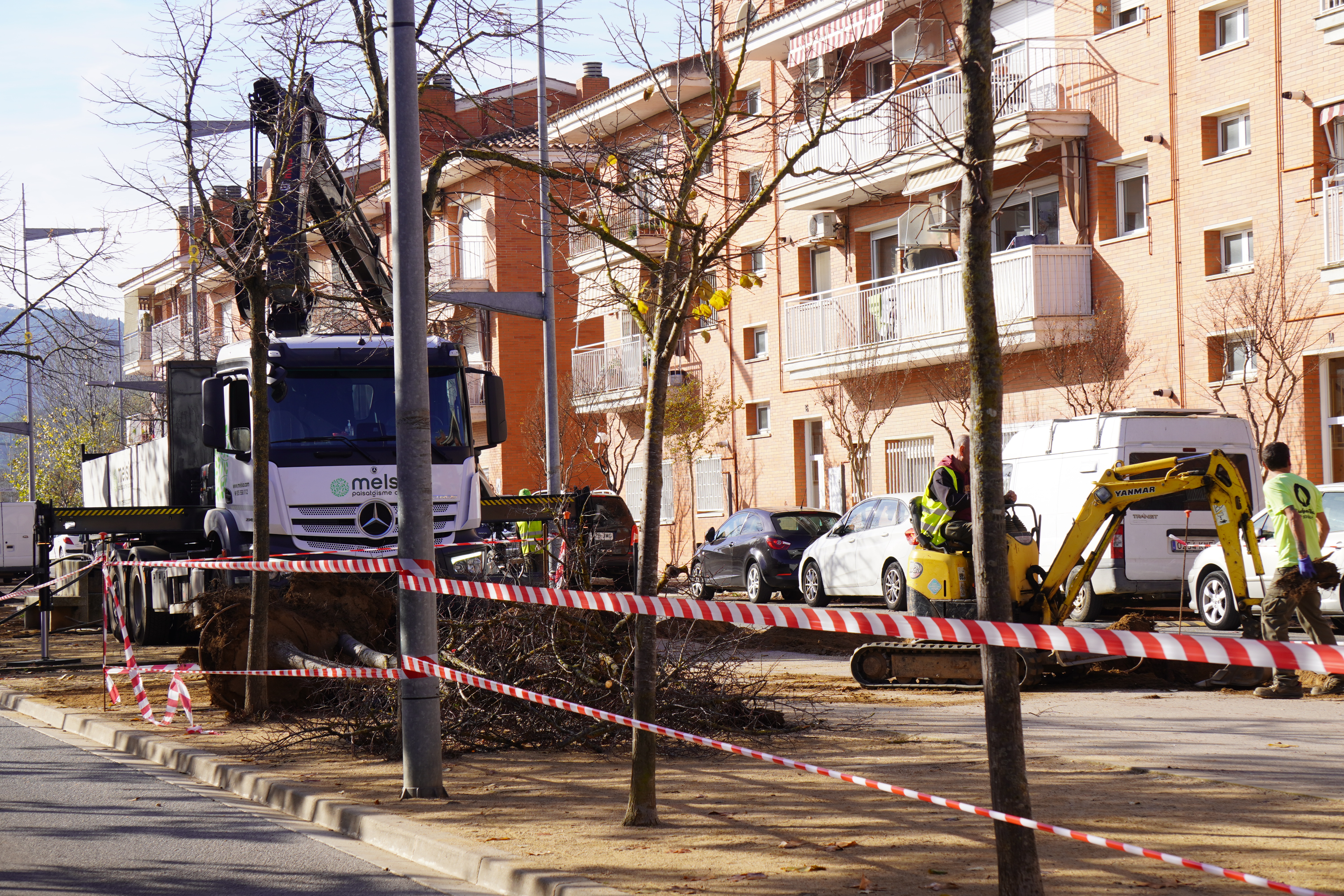 L'Avinguda dels Països Catalans es convertir&agrave; en una nova zona d'ombres per combatre el canvi clim&agrave;tic