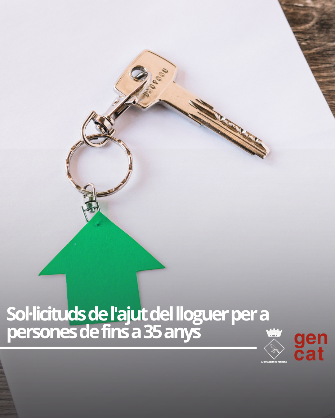 Oberta la convocatòria per a sol·licitar l'ajut del lloguer per a persones de fins a 35 anys