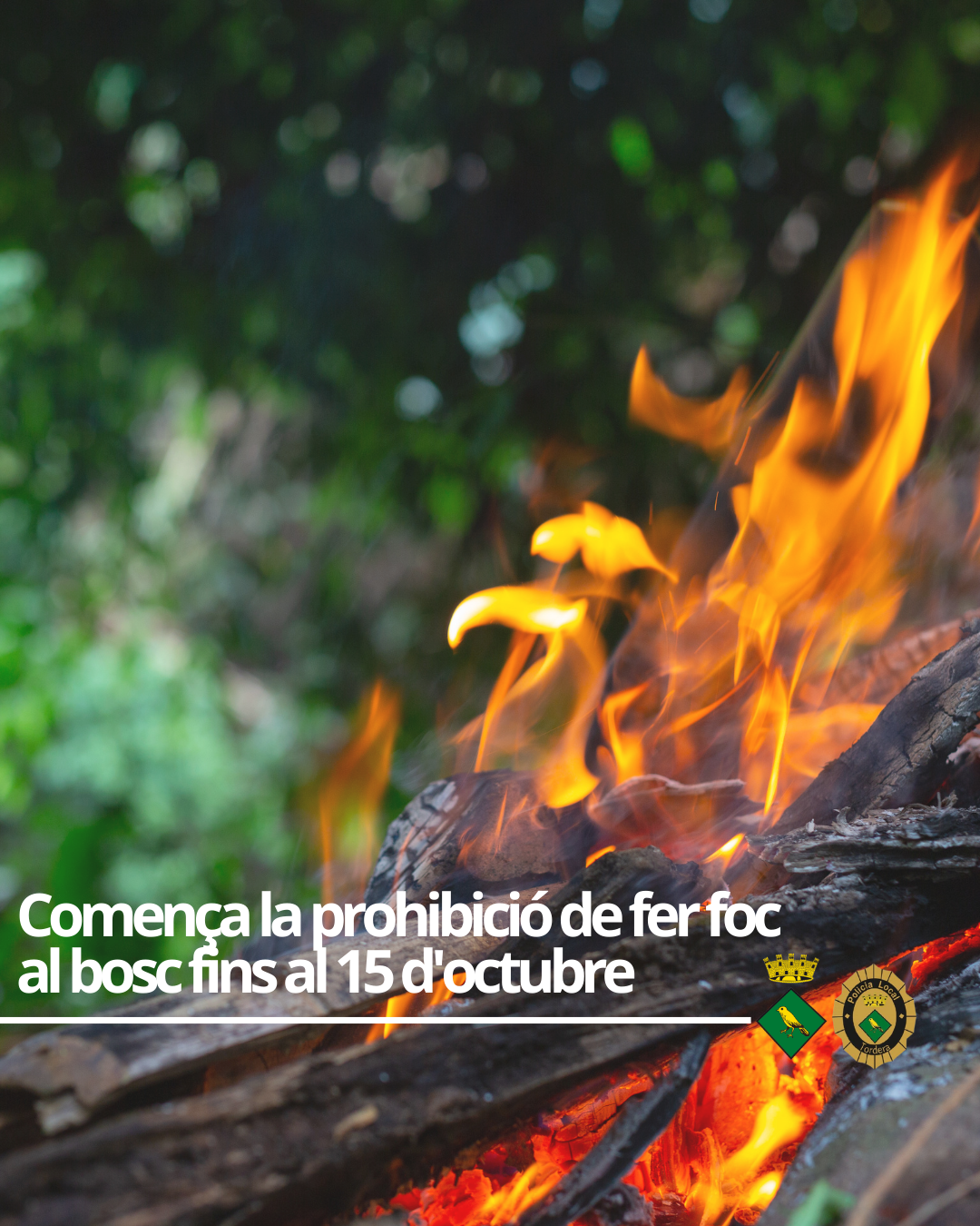 Comença la prohibició de fer foc al bosc fins al 15 d'octubre
