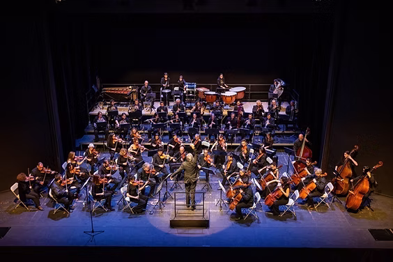 Orquestra simf&ograve;nica de Sant Cugat
