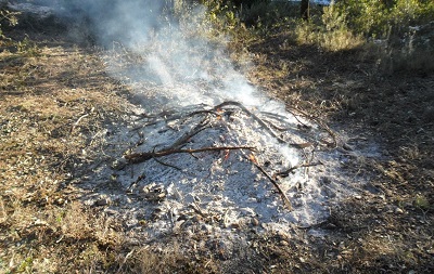 Del 15 de març al 15 d'octubre es prohibeix fer foc als terrenys forestals sense autorització